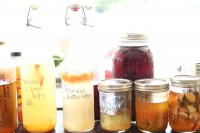 {Holly Davis} Cultures, Fermenting and Probiotics Workshop Part 2